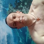 , 51
